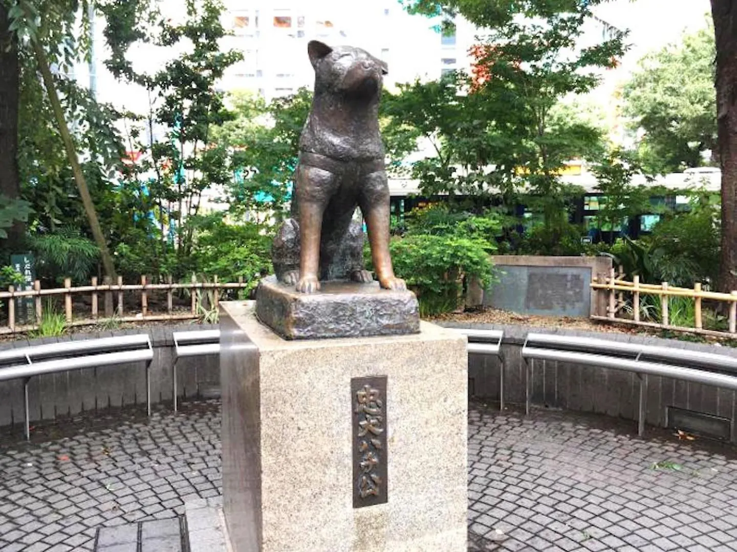 Shibuya-Ku - Apartment / Vacation Stay 1103 Tokyo